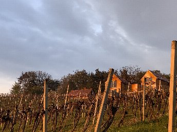 Erholung & Romantik im steirischen Weinberg-Chalet | 3 Nächte