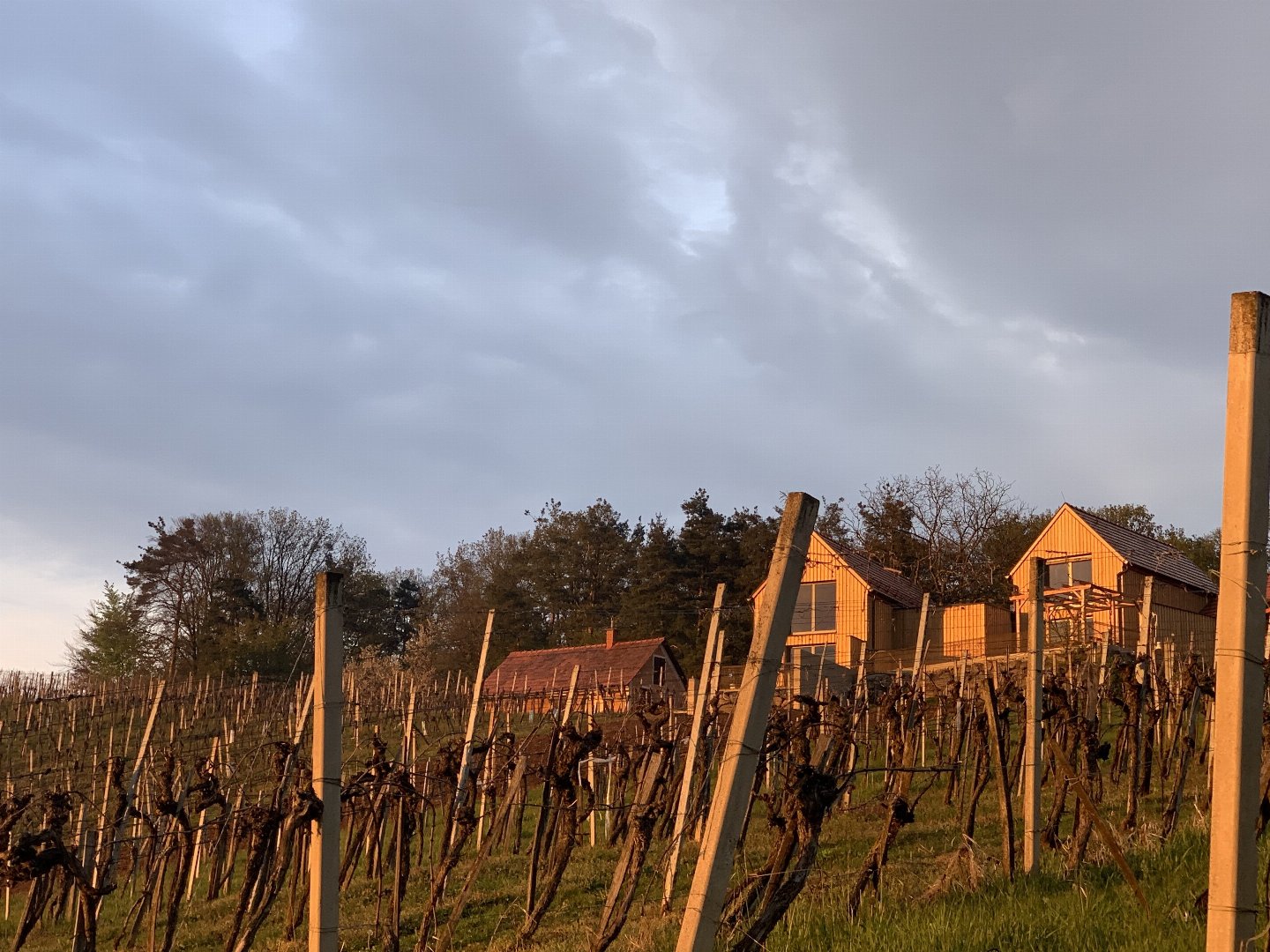 Erholung & Romantik im steirischen Weinberg-Chalet | 3 Nächte