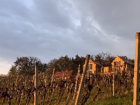 3 Nächte im Weinberg-Chalet und 1 Tag Therme Bad Radkersburg