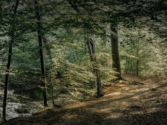 Ihre Luxus-Auszeit in der Diepeschrather Mühle im Bergischen Land – 4 Tage pure Entspannung und Genuss