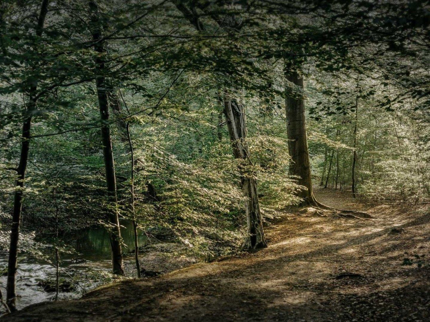 Ihre Luxus-Auszeit in der Diepeschrather Mühle im Bergischen Land – 4 Tage pure Entspannung und Genuss