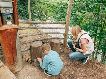 Familienurlaub in den Dolomiten | 3 Nächte