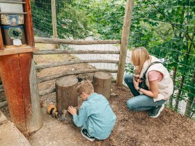 Familienurlaub in den Dolomiten | 4 Nächte