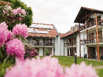 Abenteuer Bayerischer Wald - Urlaub mit Hund | 3 Tage