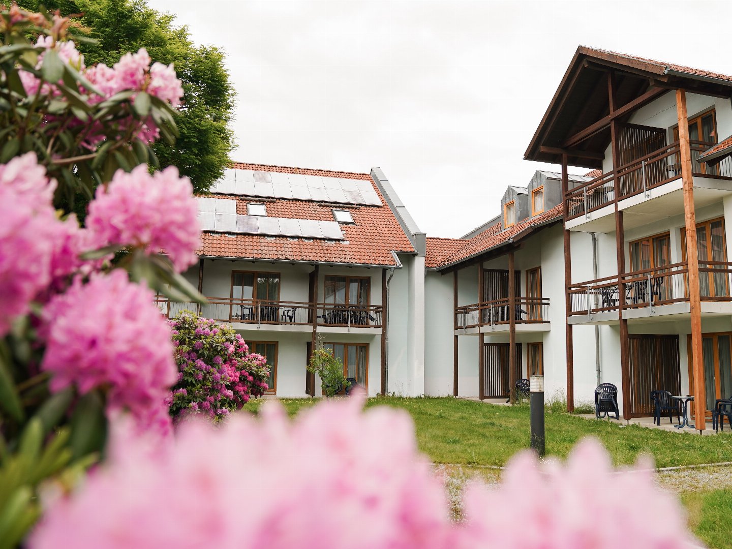 Abenteuer Bayerischer Wald - Urlaub mit Hund | 3 Tage