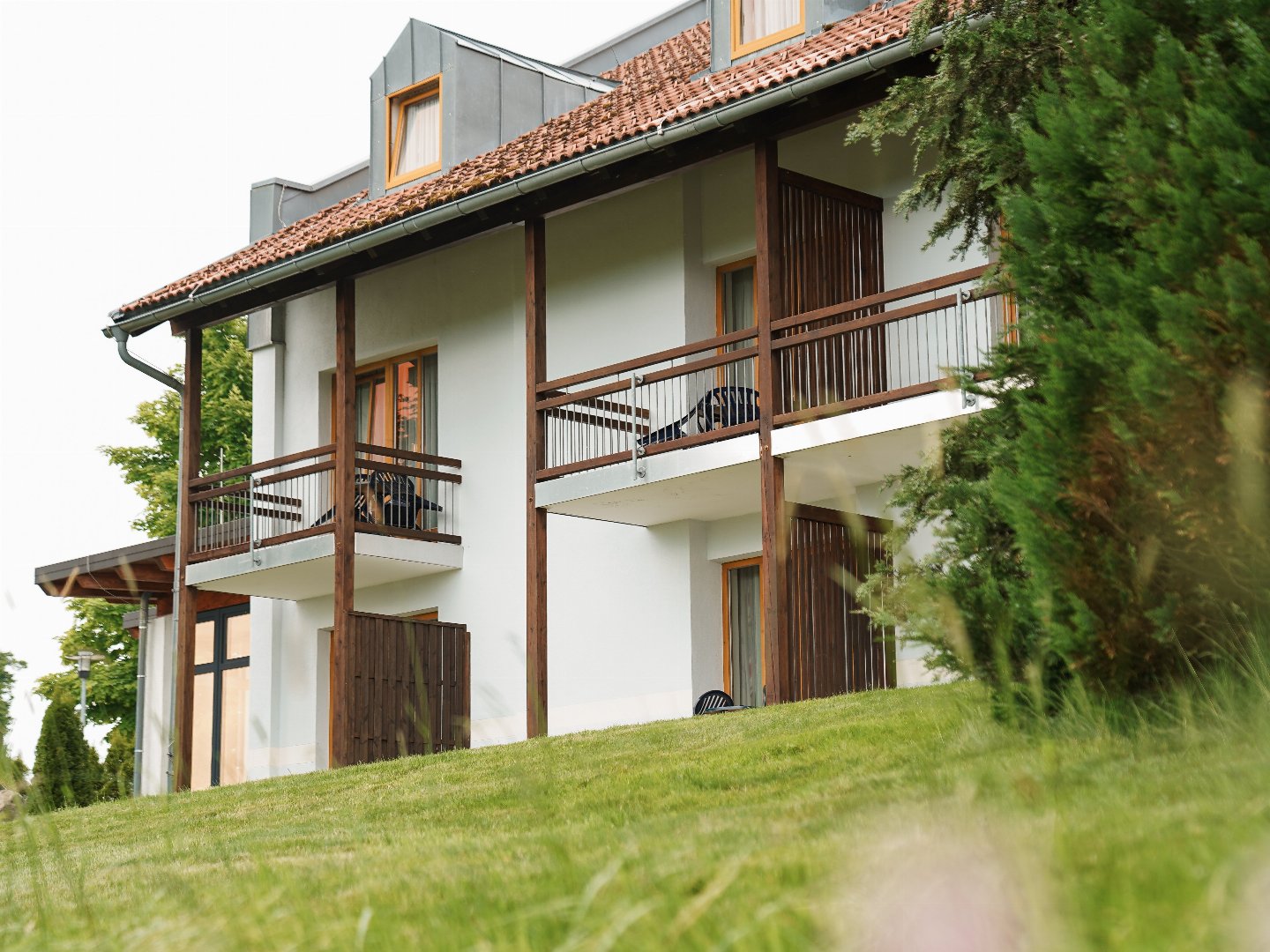 Abenteuer Bayerischer Wald - Urlaub mit Hund | 3 Tage