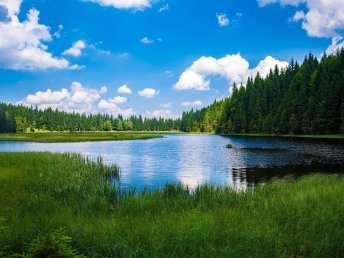 Bayerischer Wald für Entdecker | 2 Tage 