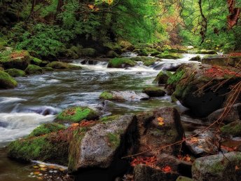 Sommerspecial im Harz inkl. Abendessen I 3 Tage Kurz - Mal - Natur 