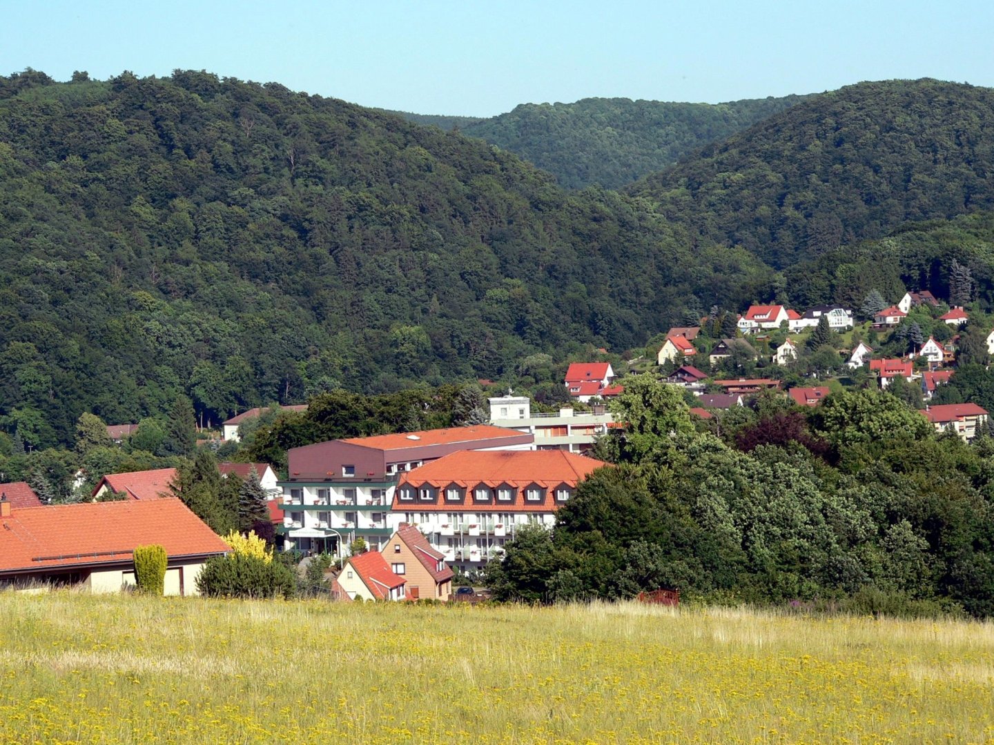 Sommerspecial im Harz inkl. Abendessen I 3 Tage Kurz - Mal - Natur 