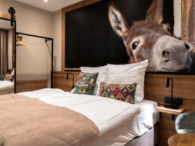 Longevity Boost Package - 3 Übernachtungen