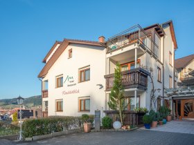 7 Tage Silvester im Schwarzwald - rutschen Sie mit uns ins Jahr 2026!