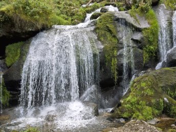 5 Tage Fahrradurlaub im Schwarzwald