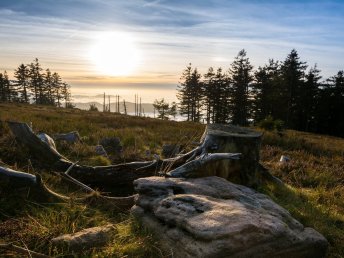 5 Tage Fahrradurlaub im Schwarzwald