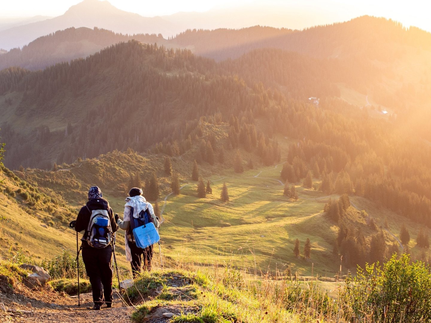 3 Tage Wanderurlaub im Schwarzwald