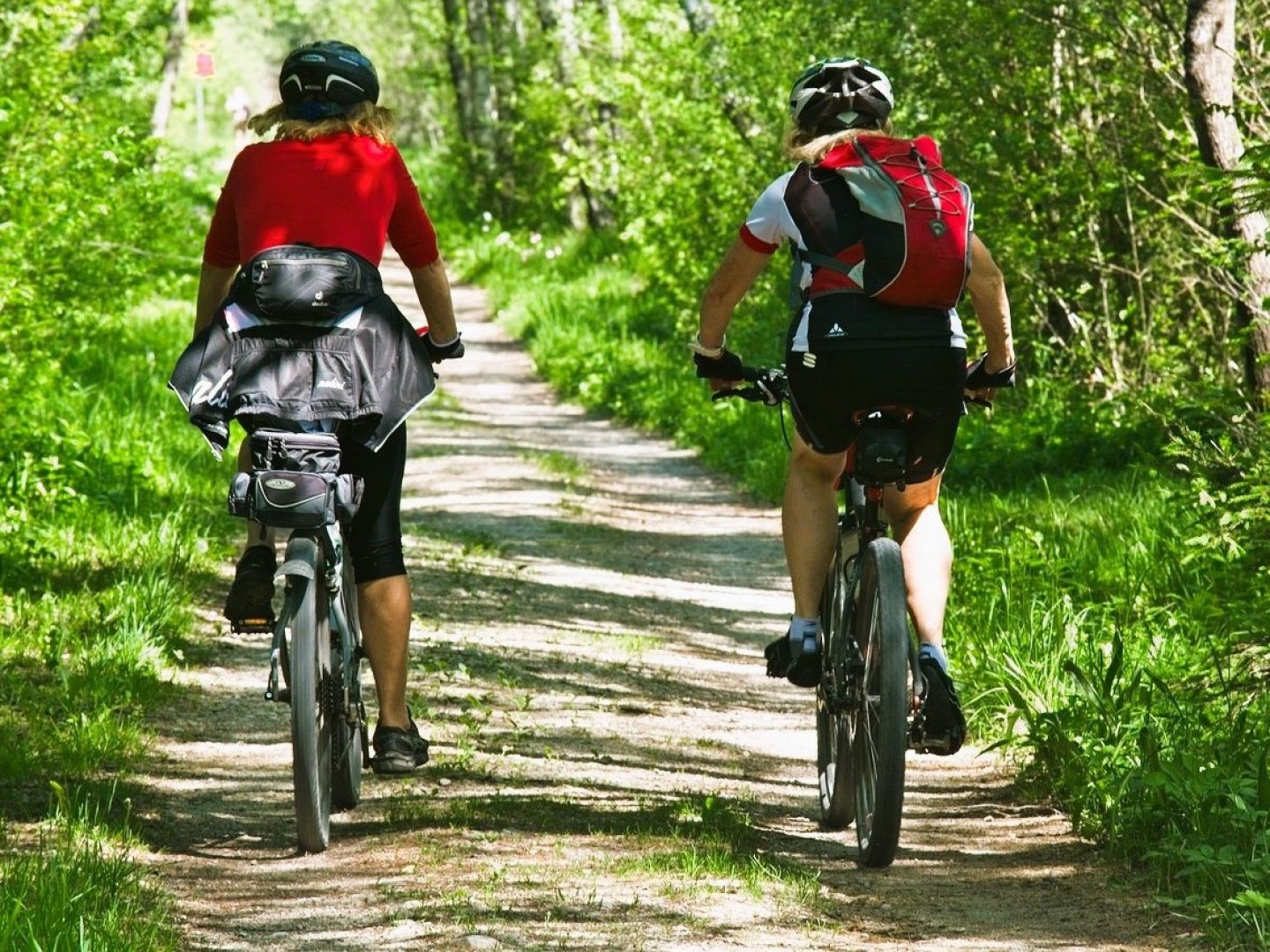 4 Tage Fahrradurlaub im Schwarzwald