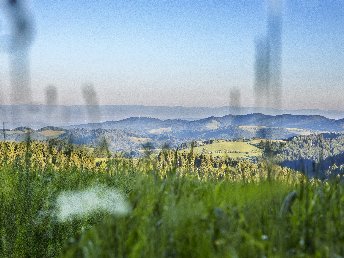 3 Tage Auszeit im malerischen Hochschwarzwald inkl. Abendmenü