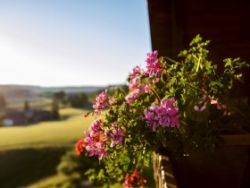 Genussmomente im Hochschwarzwald: 2 Tage Auszeit mit abendlichem Gourmetmenü