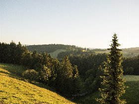 Genussmomente im Hochschwarzwald: 2 Tage Auszeit mit abendlichem Gourmetmenü