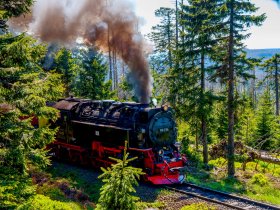 Goldener Fachwerkzauber in Wernigerode - 3 Tage im Harz