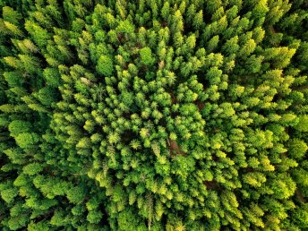 Stadtgeflüster & Fachwerkzauber in Wernigerode - 3 Tage im Harz