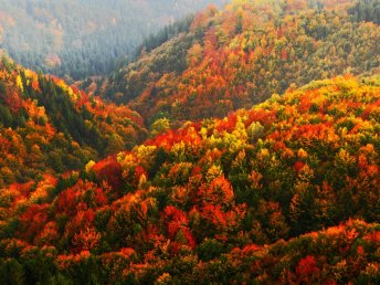 Stadtgeflüster & Fachwerkzauber in Wernigerode - 3 Tage im Harz