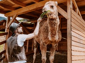 Familienzeit deluxe in den Südtiroler Dolomiten inkl. Halbpension  | 2 Nächte