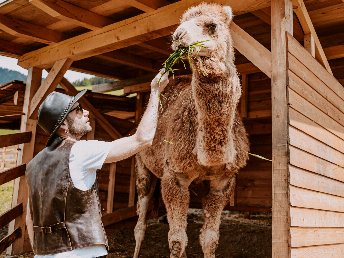 Familienzeit deluxe in den Südtiroler Dolomiten inkl. Halbpension  | 3 Nächte 