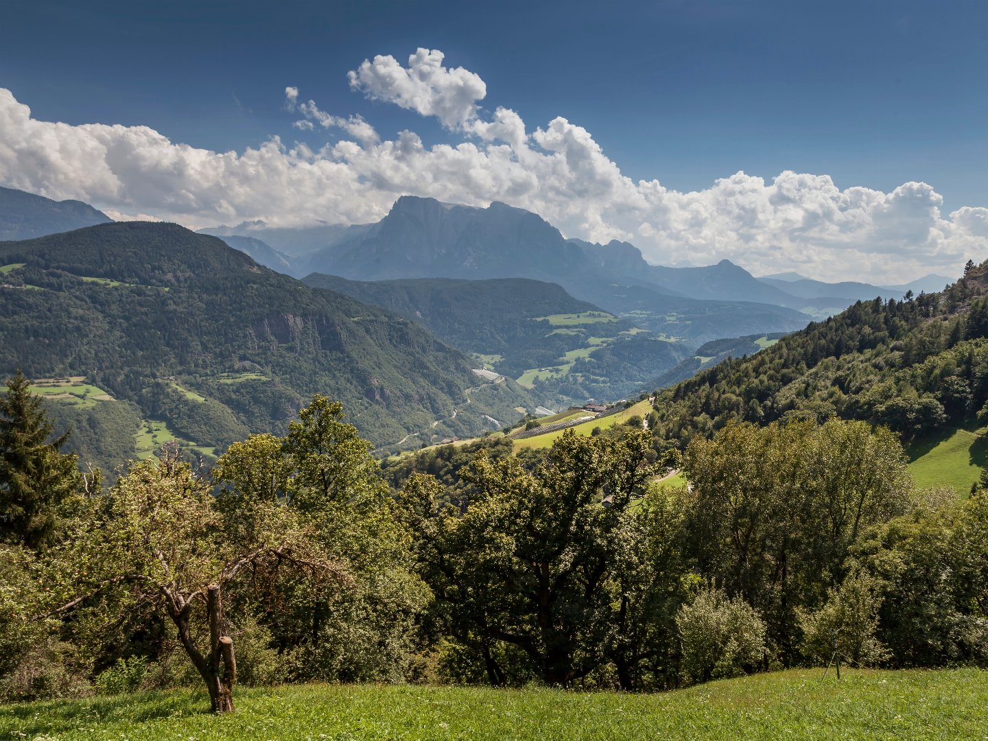 Wanderlust & Wellness in den Südtiroler Dolomiten mit Lüsen-Gästekarte & Halbpension | 3 Nächte 