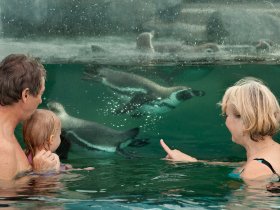 3 Familientage im Ferien Hotel Cottbus inkl. HP plus
