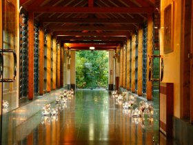 Pedal & Relax rund um Treviso und der Prosecco Weinstraße | 4 Nächte