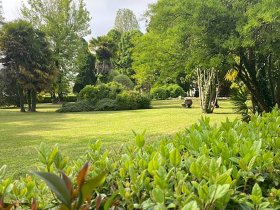 Pedal & Relax rund um Treviso und der Prosecco Weinstraße | 4 Nächte