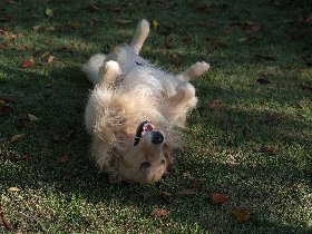 Kurzurlaub mit Wau-Effekt in der Kurpfalz | 7 Nächte      