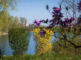 Family Escape am See in Ketsch am Rhein | 5 Nächte    