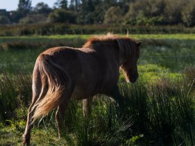 Kurzurlaub auf Borkum - den gönn ich mir!