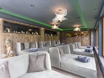 Familienurlaub am Naturbadeteich im Salzburger Land inkl. 1 Kind bis 10 Jahre gratis / 5 Nächte