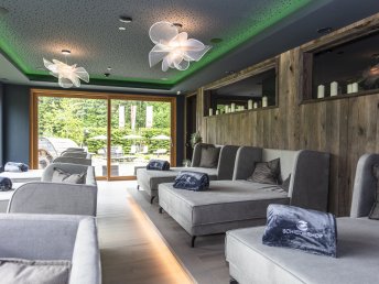 Familienurlaub am Naturbadeteich im Salzburger Land inkl. 1 Kind bis 10 Jahre gratis / 5 Nächte
