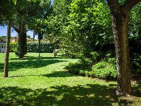 Zwischen Pinienwald und Meer in der Toskana | 2 Nächte