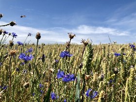 Weihnachtliche Entspannung auf Rügen | 3 Tage