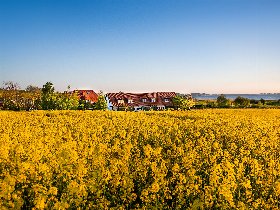 Weihnachtliche Entspannung auf Rügen | 3 Tage