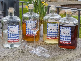 Weihnachtliche Entspannung auf Rügen | 3 Tage