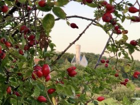 Kurzurlaub am Jasmunder Bodden - Ihre Auszeit im Herbst