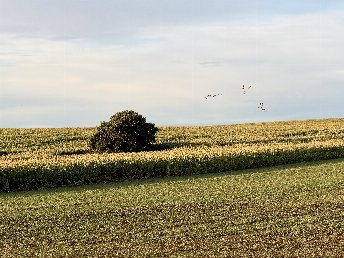 Kurzurlaub am Jasmunder Bodden - Ihre Auszeit im Herbst
