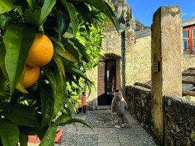 Dolce Vita am Gardasee - 3 Tage / 2 Nächte