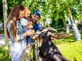 2 Nächte Auszeit auf dem Ferienhof Domäne Groschwitz – Ankommen, Abschalten, Durchatmen 
