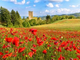 Toskanischer Genuss in Arezzo - 3 Tage / 2 Nächte