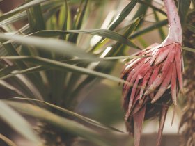 Familypark Tagtraum inkl. Burgenland-Card | 1 Nacht